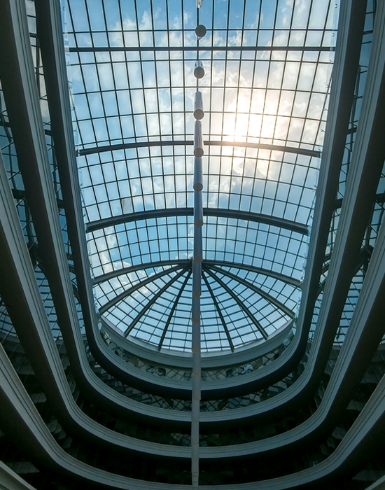 Partner with VPJ Holdings